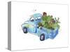 Flower Truck I-Catherine McGuire-Stretched Canvas