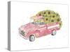 Flower Truck III-Catherine McGuire-Stretched Canvas