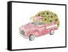 Flower Truck III-Catherine McGuire-Framed Stretched Canvas