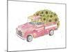 Flower Truck III-Catherine McGuire-Mounted Art Print