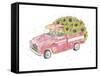 Flower Truck III-Catherine McGuire-Framed Stretched Canvas