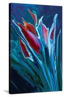 Flower Unknown 2-Rabi Khan-Stretched Canvas