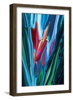 Flower Unknown-Rabi Khan-Framed Art Print