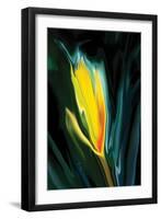 Flower Unkown 5-Rabi Khan-Framed Art Print