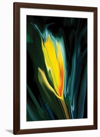 Flower Unkown 5-Rabi Khan-Framed Art Print