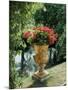 Flower Vase in the Courtyard of Charlottenhof Palace-Karl Friedrich Schinkel-Mounted Premium Giclee Print