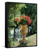 Flower Vase in the Courtyard of Charlottenhof Palace-Karl Friedrich Schinkel-Framed Stretched Canvas