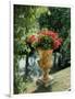 Flower Vase in the Courtyard of Charlottenhof Palace-Karl Friedrich Schinkel-Framed Giclee Print