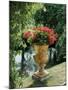 Flower Vase in the Courtyard of Charlottenhof Palace-Karl Friedrich Schinkel-Mounted Giclee Print