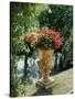 Flower Vase in the Courtyard of Charlottenhof Palace-Karl Friedrich Schinkel-Stretched Canvas