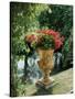 Flower Vase in the Courtyard of Charlottenhof Palace-Karl Friedrich Schinkel-Stretched Canvas