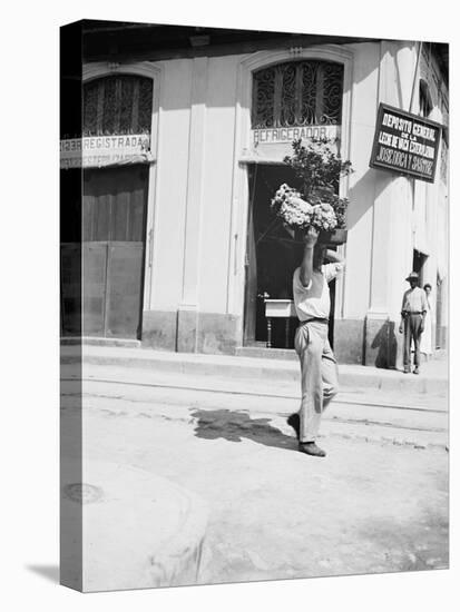 Flower Vendor, Havana, Cuba-null-Stretched Canvas