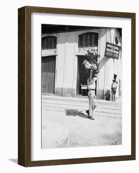 Flower Vendor, Havana, Cuba-null-Framed Photo