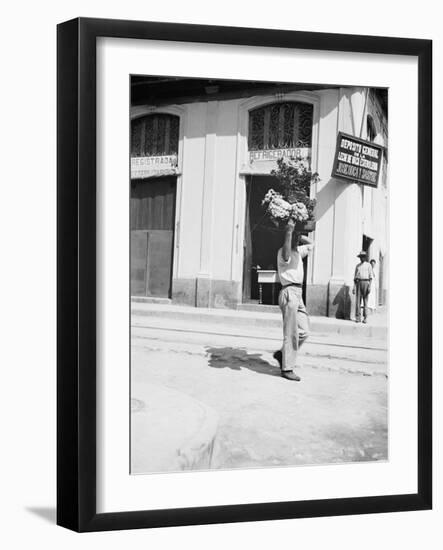 Flower Vendor, Havana, Cuba-null-Framed Photo