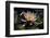 Flower Water Lilies-olegkozyrev-Framed Photographic Print