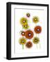 Flower Wheels I-Regina Moore-Framed Art Print