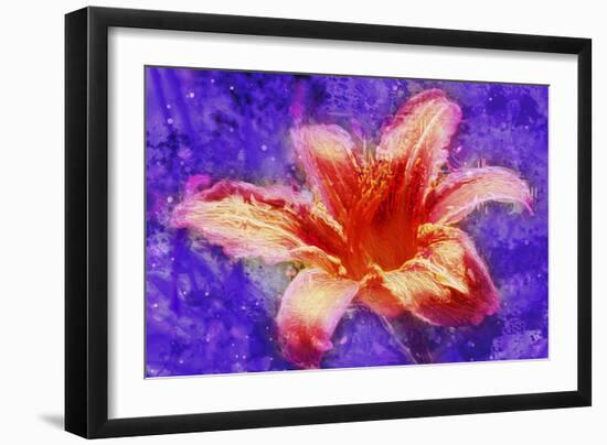 Flower XI-Fernando Palma-Framed Giclee Print