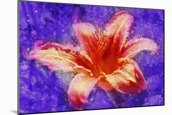 Flower XI-Fernando Palma-Mounted Giclee Print