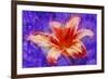 Flower XI-Fernando Palma-Framed Giclee Print