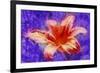 Flower XI-Fernando Palma-Framed Giclee Print