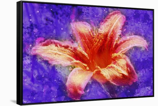 Flower XI-Fernando Palma-Framed Stretched Canvas