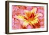 Flower XII-Fernando Palma-Framed Giclee Print