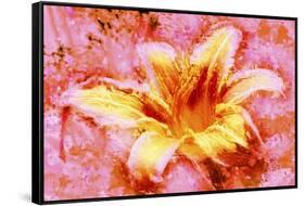 Flower XII-Fernando Palma-Framed Stretched Canvas