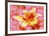 Flower XII-Fernando Palma-Framed Giclee Print