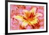 Flower XII-Fernando Palma-Framed Giclee Print