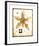 Flower-Tighe O'Donoghue-Framed Limited Edition