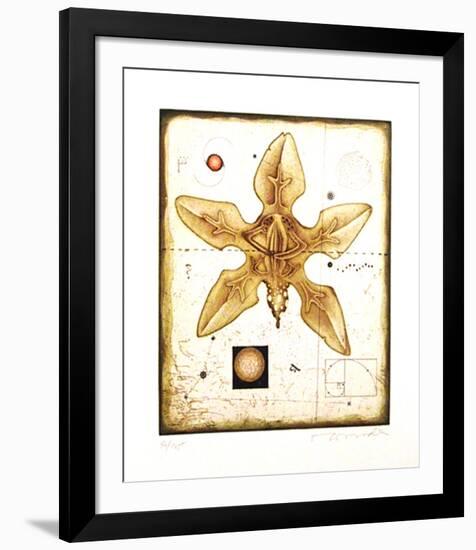 Flower-Tighe O'Donoghue-Framed Limited Edition