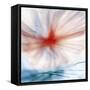 Flower-Ursula Abresch-Framed Stretched Canvas