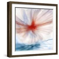 Flower-Ursula Abresch-Framed Photographic Print