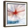 Flower-Ursula Abresch-Framed Photographic Print