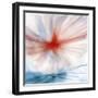 Flower-Ursula Abresch-Framed Photographic Print