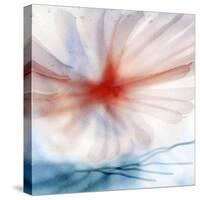 Flower-Ursula Abresch-Stretched Canvas