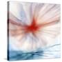 Flower-Ursula Abresch-Stretched Canvas