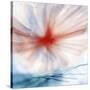 Flower-Ursula Abresch-Stretched Canvas