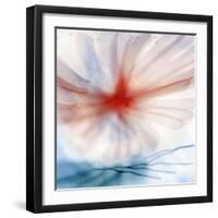 Flower-Ursula Abresch-Framed Photographic Print