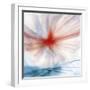 Flower-Ursula Abresch-Framed Photographic Print