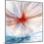 Flower-Ursula Abresch-Mounted Photographic Print