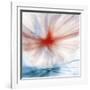 Flower-Ursula Abresch-Framed Photographic Print