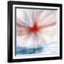 Flower-Ursula Abresch-Framed Photographic Print