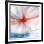 Flower-Ursula Abresch-Framed Photographic Print