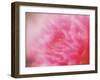 Flower-WizData-Framed Photographic Print