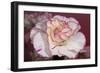 Flower-Gordon Semmens-Framed Photographic Print