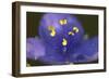 Flower-Gordon Semmens-Framed Photographic Print