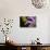 Flower-Gordon Semmens-Photographic Print displayed on a wall