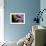 Flower-Gordon Semmens-Framed Photographic Print displayed on a wall