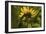 Flower-Gordon Semmens-Framed Photographic Print